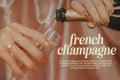 Eighties Comeback Serif (70 fonts)