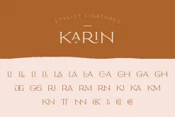 Elegant Karin - Stylish Typeface