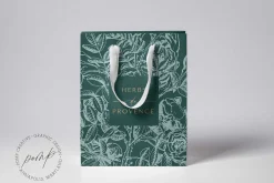 Elegant Logo Templates + Bonus