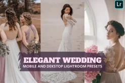 Elegant Wedding Vol 2 Lightroom