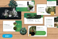 Elfour - Organic Keynote Templates
