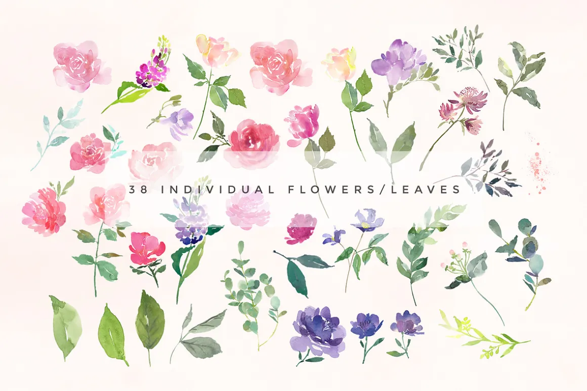 Elouise - Foral Clipart Set