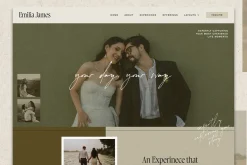 Emilia WordPress Theme