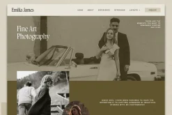 Emilia WordPress Theme