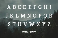 Endurest - Serif