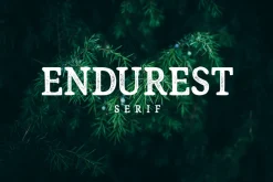 Endurest - Serif