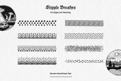 Essential Liner Illustrator Brushes