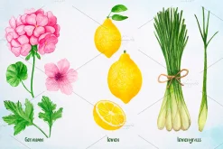 Essential Oils. Watercolor.