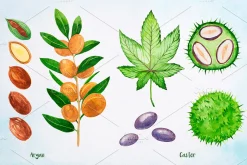 Essential Oils. Watercolor.