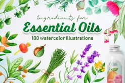Essential Oils. Watercolor.