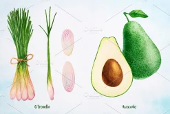 Essential Oils. Watercolor.