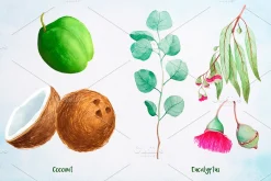 Essential Oils. Watercolor.
