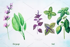 Essential Oils. Watercolor.