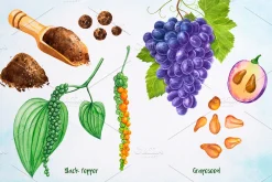 Essential Oils. Watercolor.