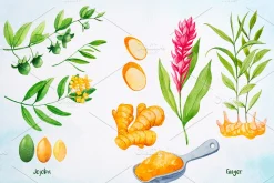 Essential Oils. Watercolor.