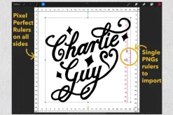 Essentials for Calligraphy-Procreate