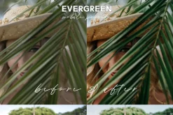 Evergreen Lightroom Mobile Presets