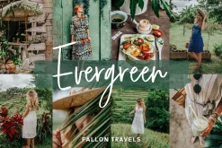 Evergreen Lightroom Mobile Presets