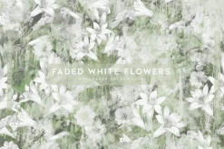 Faded White Flowers
