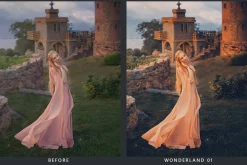 20 Fairytale Lightroom Presets & LUT