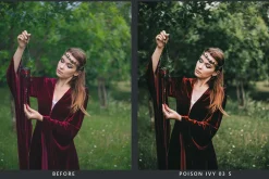 20 Fairytale Lightroom Presets & LUT