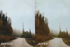 25 Fall Film Lightroom Presets