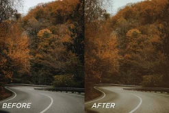 25 Fall Film Lightroom Presets