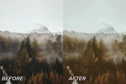 25 Fall Film Lightroom Presets