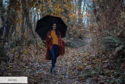 Fall Overlays Photoshop