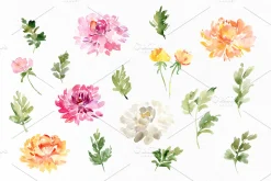 Fall Watercolor Chrysanthemums