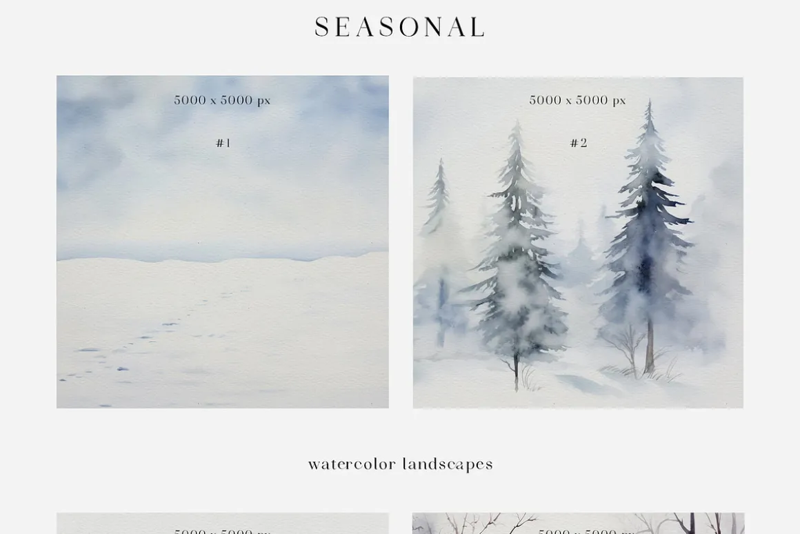 Fall & Winter landscapes