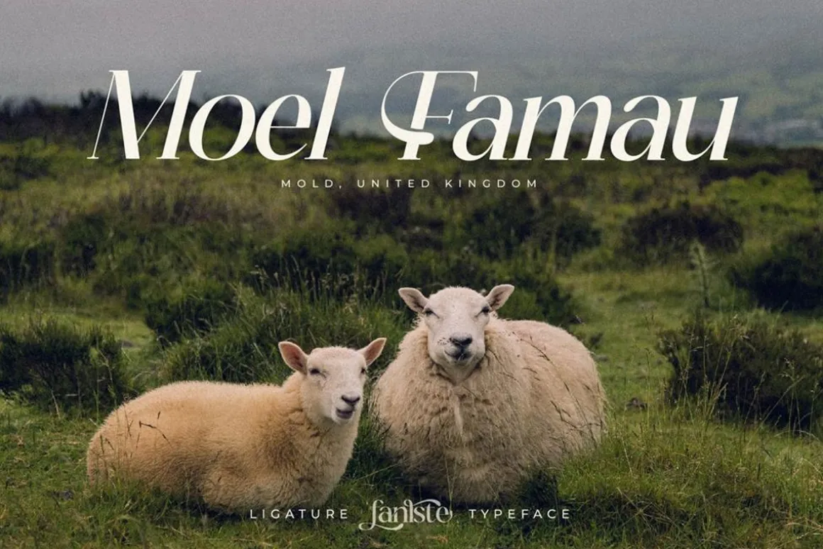 Fanlste Ligature Typeface Font