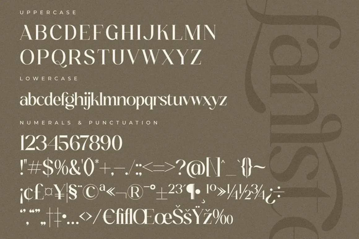 Fanlste Ligature Typeface Font
