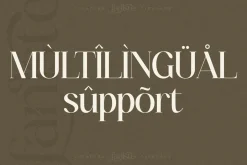 Fanlste Ligature Typeface Font