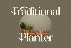Fanlste Ligature Typeface Font