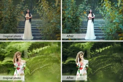 Fantasy Jungle Presets
