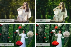 Fantasy Jungle Presets