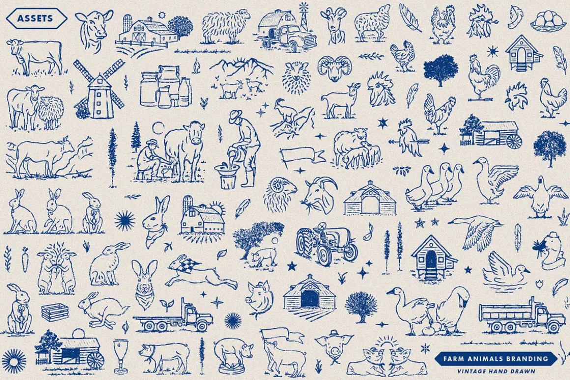Farm Animals Branding