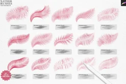 Feather Brushes for Procreate