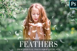 Feathers Overlays Photoshop