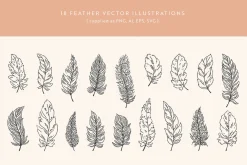 Feathers Vector Illustrations