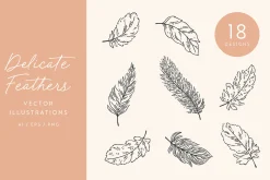 Feathers Vector Illustrations