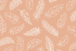 Feathers Vector Illustrations