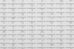 Feline Furry Male Base Stamp Brushes