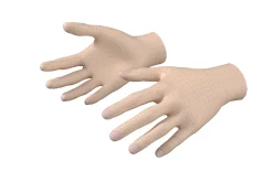Female Hand Base Mesh 02
