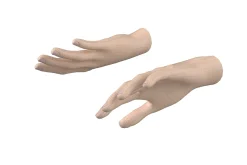 Female Hand Base Mesh 02