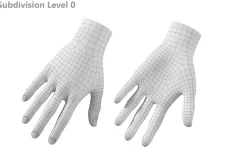 Female Hand Base Mesh 02