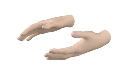 Female Hand Base Mesh 02