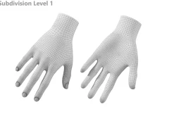 Female Hand Base Mesh 02