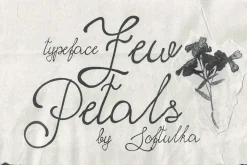 Few Petals. Dreamy Script Typeface